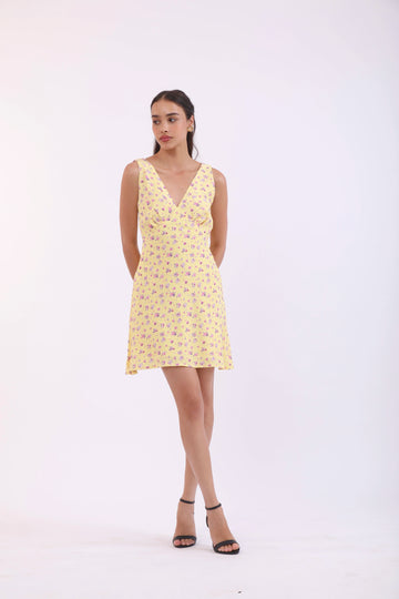 Serena Mini Dress